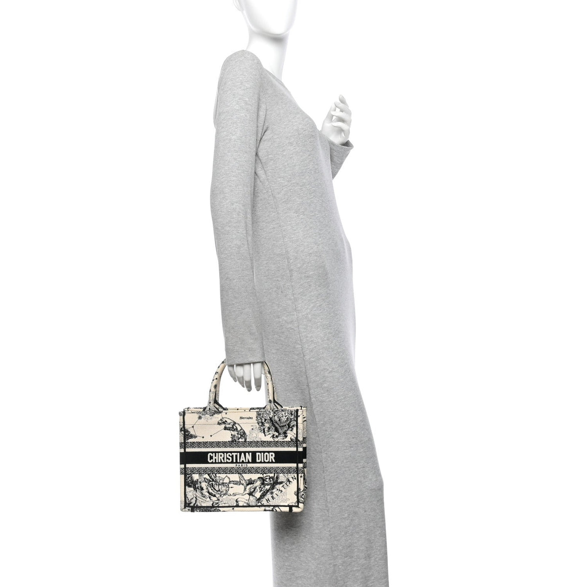Canvas Embroidered Small Zodiac Toile De Jouy Book Tote Latte