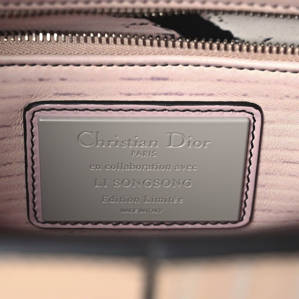 x LI SONGSONG Calfskin Painted Patchwork Large Lady Dior Art Multicolor