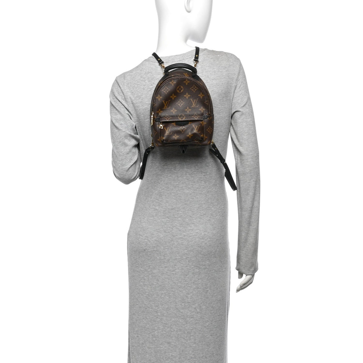 Monogram Palm Springs Backpack Mini