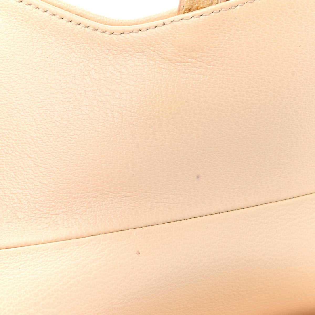 Grained Calfskin Saddle Bag Beige