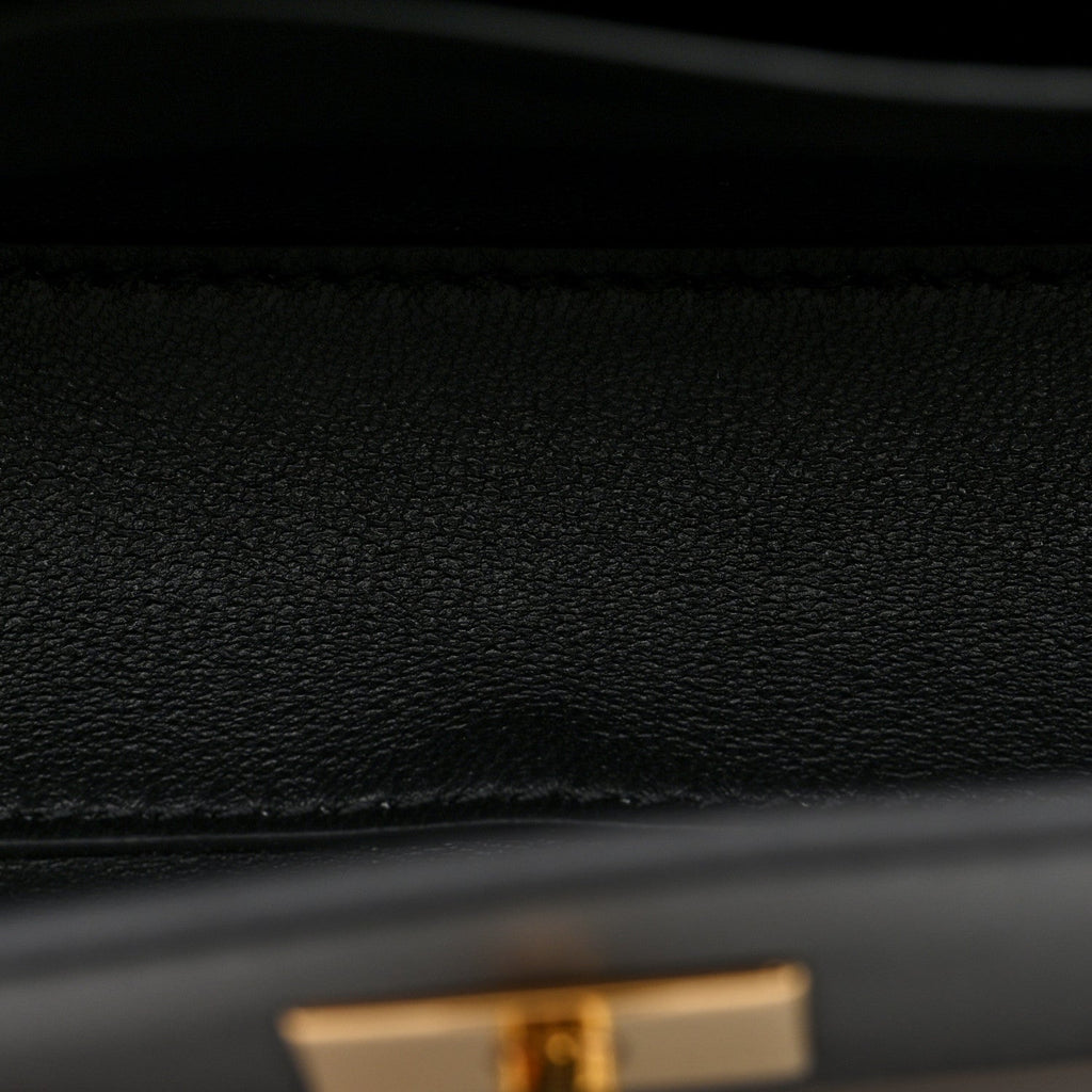 Natural Smooth Calfskin Nano Rodeo Top Handle Handbag Black
