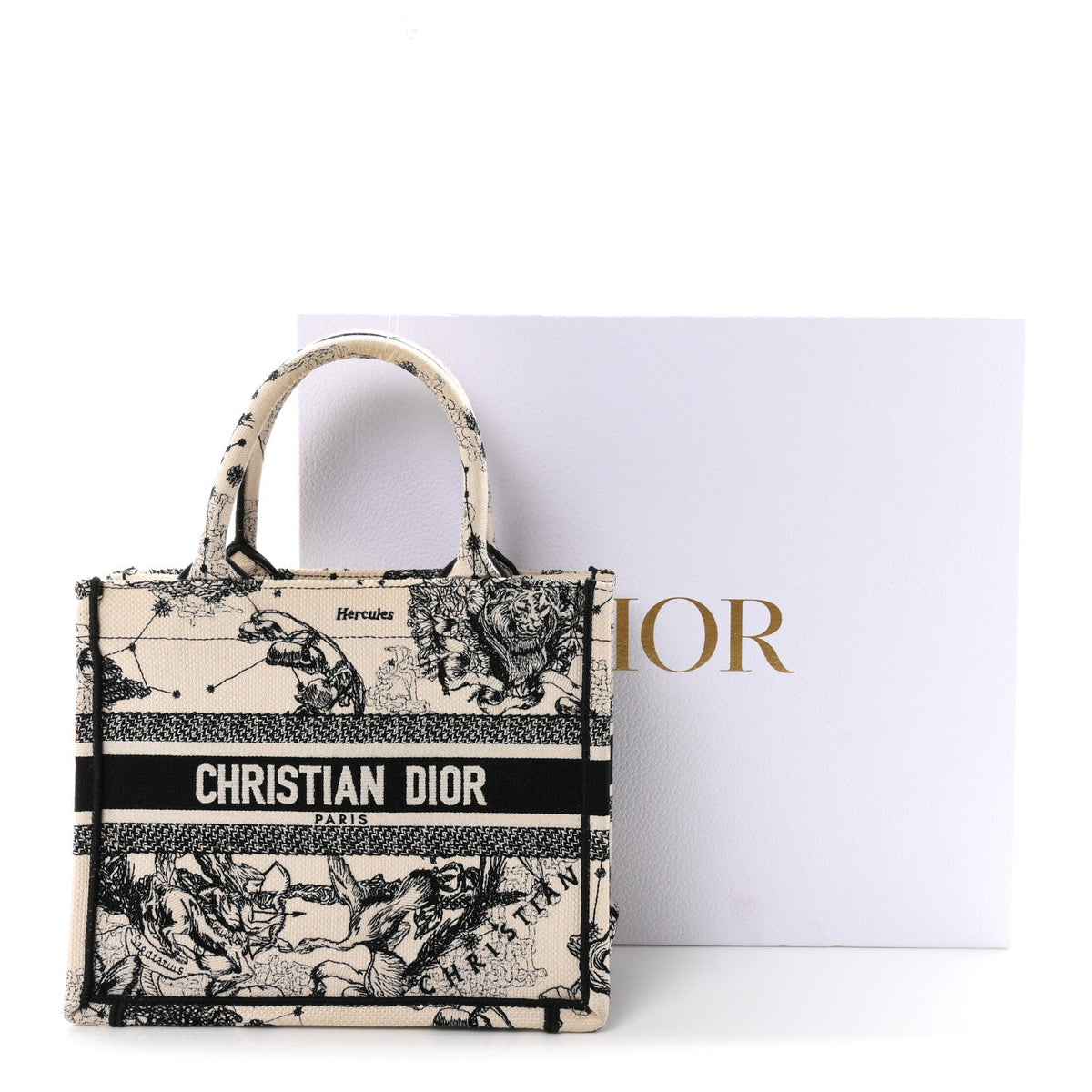 Canvas Embroidered Small Zodiac Toile De Jouy Book Tote Latte