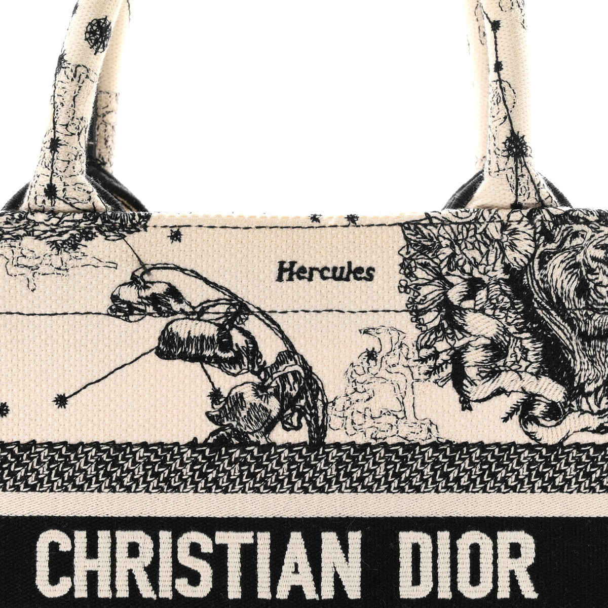 Canvas Embroidered Small Zodiac Toile De Jouy Book Tote Latte