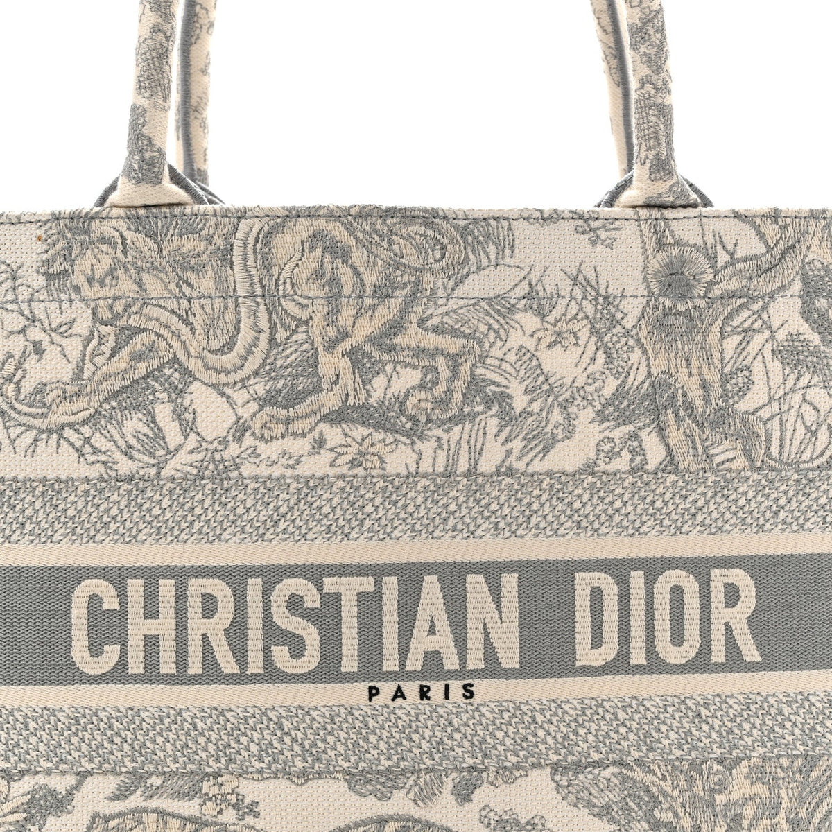 Canvas Embroidered Medium Dioriviera Toile De Jouy Book Tote Gray