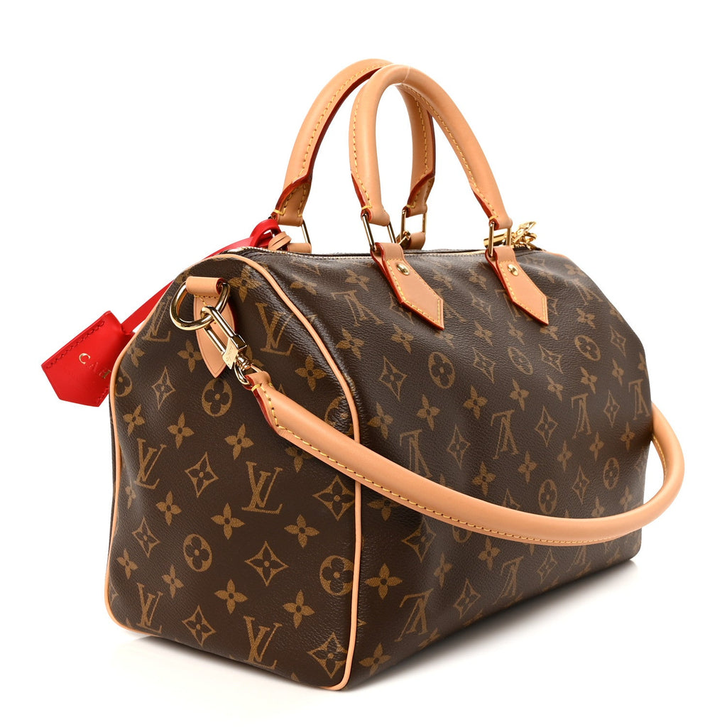 Monogram Speedy Soft Crafty 30